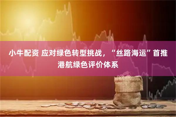 小牛配资 应对绿色转型挑战，“丝路海运”首推港航绿色评价体系